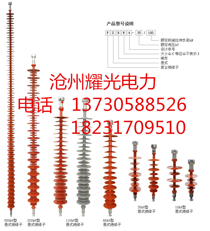 復(fù)合絕緣子圖片/復(fù)合絕緣子樣板圖 (4)
