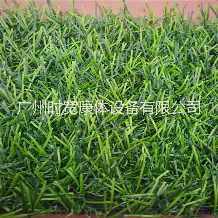 仿真草皮圖片/仿真草皮樣板圖 (3)