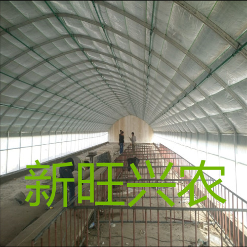 河北新旺興農(nóng)種植大棚建設(shè)生產(chǎn)廠家圖片