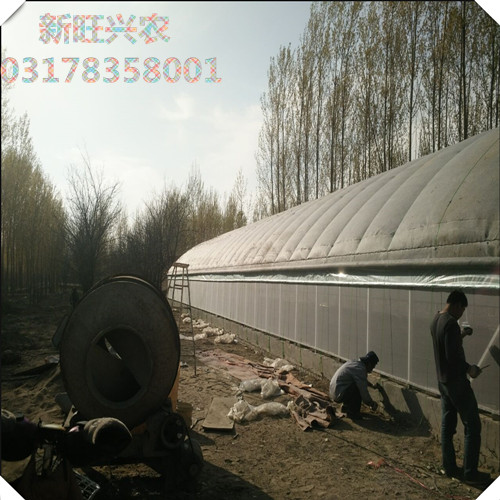 新旺興農(nóng)種植大棚8122春秋大棚圖片/新旺興農(nóng)種植大棚8122春秋大棚樣板圖 (4)