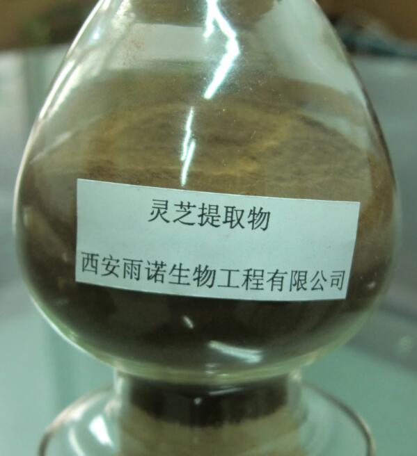 靈芝提取物靈芝多糖靈芝三萜圖片