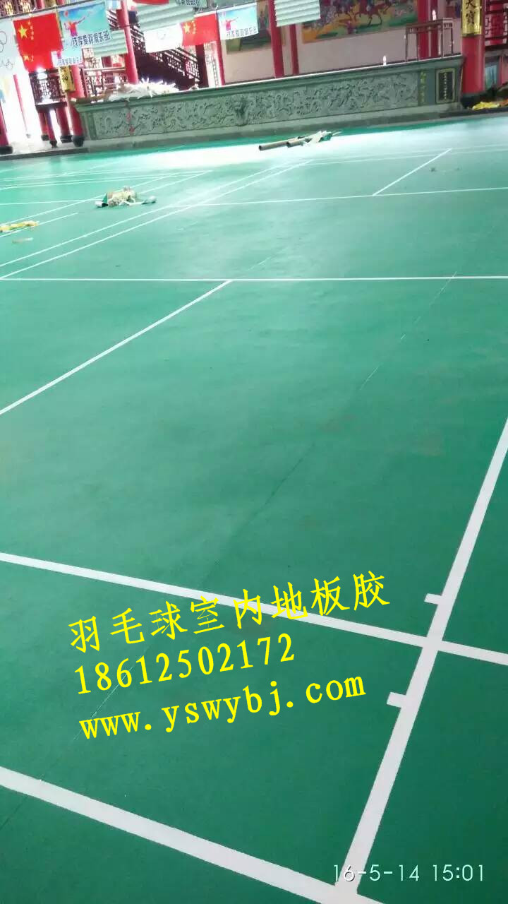 羽毛球圖片/羽毛球樣板圖 (3)