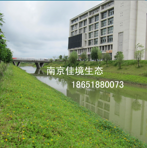 生態(tài)護坡增強劑膠結劑河道治理圖片