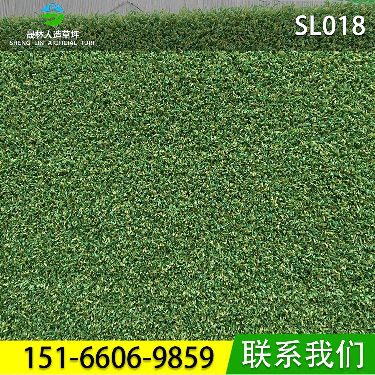 人造草坪圖片/人造草坪樣板圖 (1)