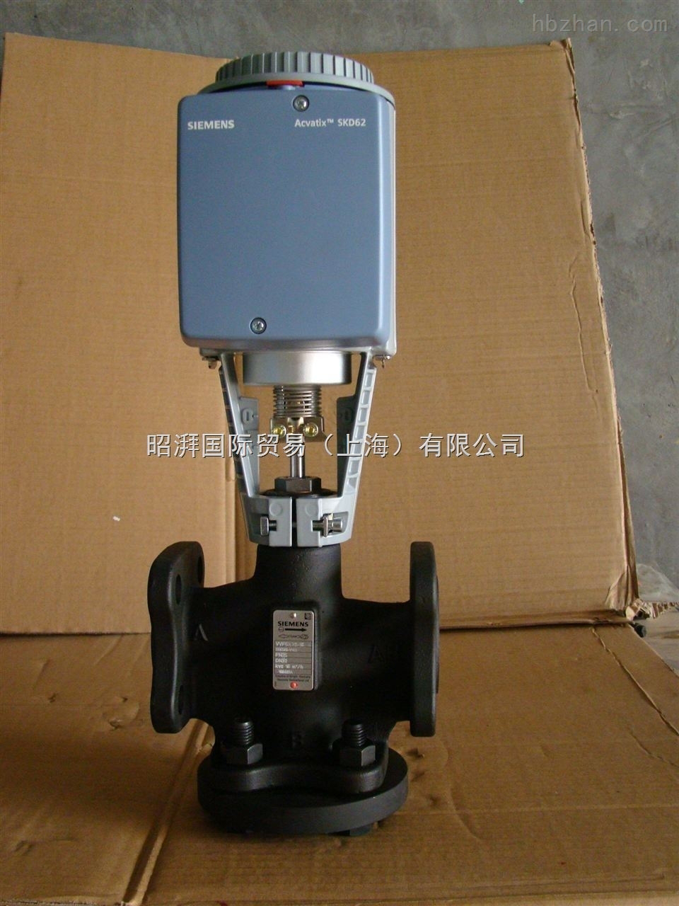 溫控閥圖片/溫控閥樣板圖 (2)