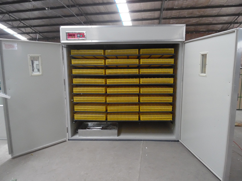 小型孵化機(jī)圖片/小型孵化機(jī)樣板圖 (3)