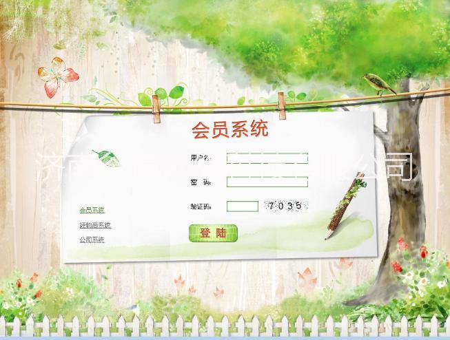 山東日照購(gòu)物商城直銷制度開(kāi)發(fā)公司圖片