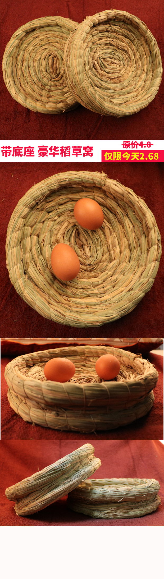 鴿子圖片/鴿子樣板圖 (3)