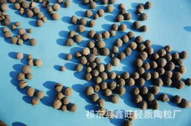 厂家直销 高效挂膜轻质生物陶粒 曝气生物滤池滤料 页岩陶粒滤料图片