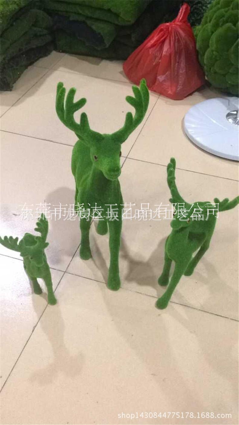 動物創(chuàng)意圖片/動物創(chuàng)意樣板圖 (3)