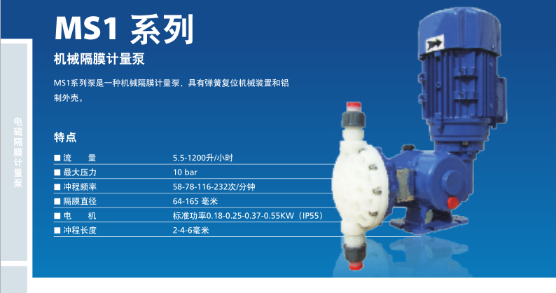 上海市赛高计量泵DMS200，赛高计量厂家