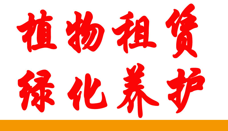 物價供應紅掌辦公室酒店綠化養(yǎng)護租圖片/物價供應紅掌辦公室酒店綠化養(yǎng)護租樣板圖 (3)
