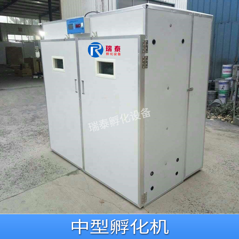 中型孵化機(jī)圖片/中型孵化機(jī)樣板圖 (2)