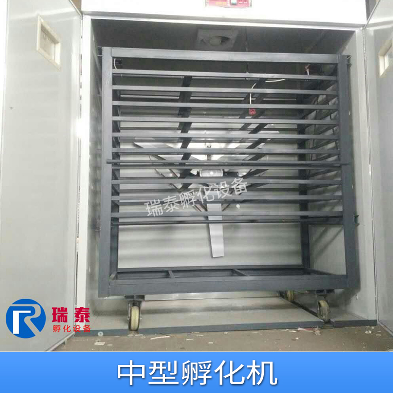 云南中型孵化機(jī)圖片