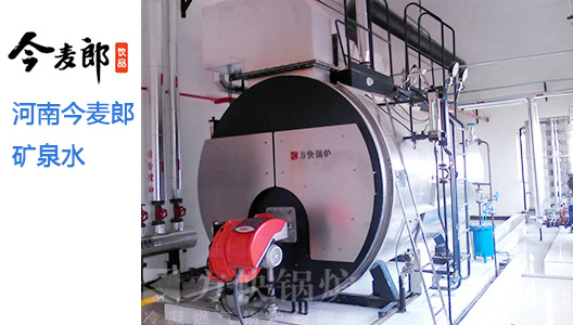 燃?xì)忮仩t圖片