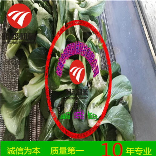 精品供应 明超青椒清洗风干设备-净菜加工流水线图片