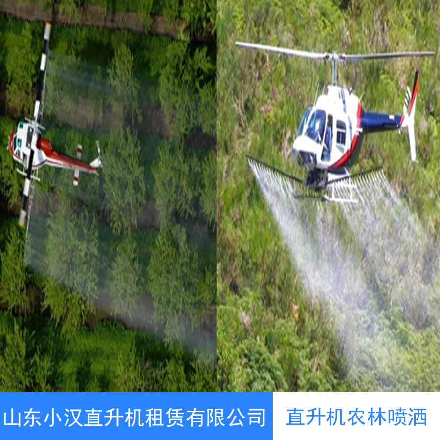 三亞直升機農林噴灑公司圖片
