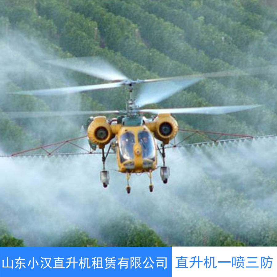 直升機一噴三防圖片/直升機一噴三防樣板圖 (1)