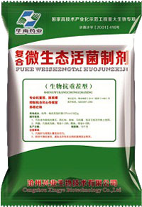 枯草芽孢桿菌圖片/枯草芽孢桿菌樣板圖 (2)