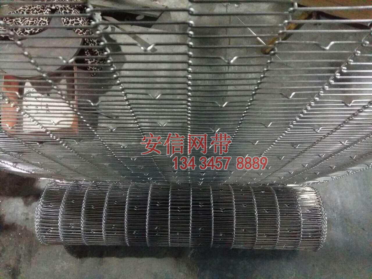 字型網(wǎng)帶圖片/字型網(wǎng)帶樣板圖 (4)