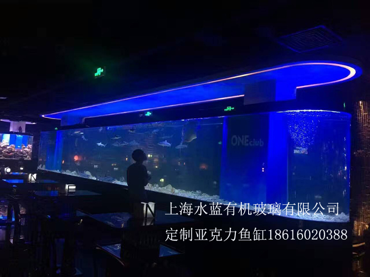 廣州大型亞克力鯊魚水族箱圖片