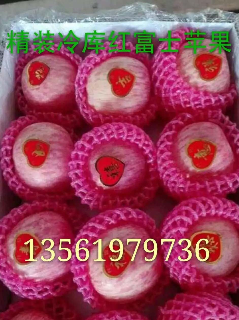 富士蘋果產(chǎn)地圖片/富士蘋果產(chǎn)地樣板圖 (3)