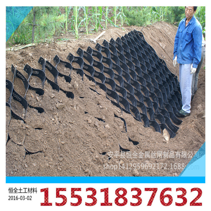 護(hù)坡蜂巢土工格室圖片/護(hù)坡蜂巢土工格室樣板圖 (4)