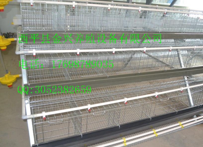 雞舍自動(dòng)圖片/雞舍自動(dòng)樣板圖 (4)