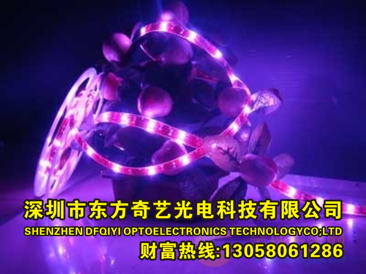 USB燈帶 5050 5V 12V電視背景墻燈帶  深圳USB燈帶廠家直銷