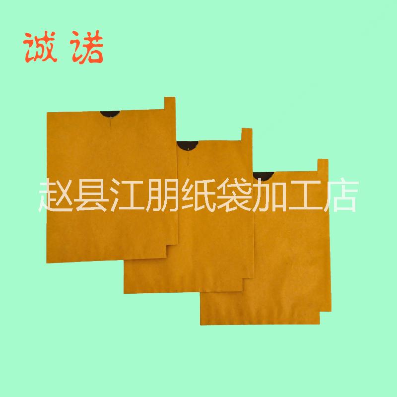供應江蘇連云港晚秋黃梨套袋*水果套袋育果套袋等廠家批發(fā)直銷