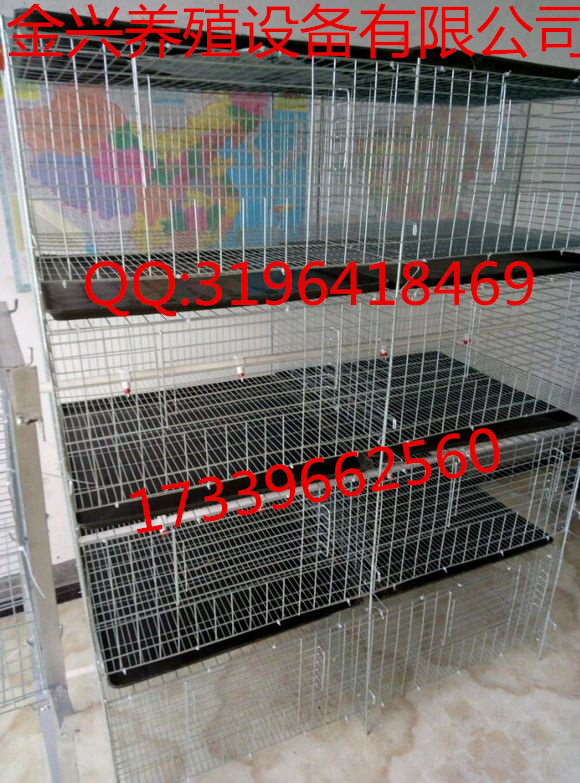 立式育雛籠 立式育雛籠價格 優(yōu)質(zhì)立式育雛籠廠家直銷