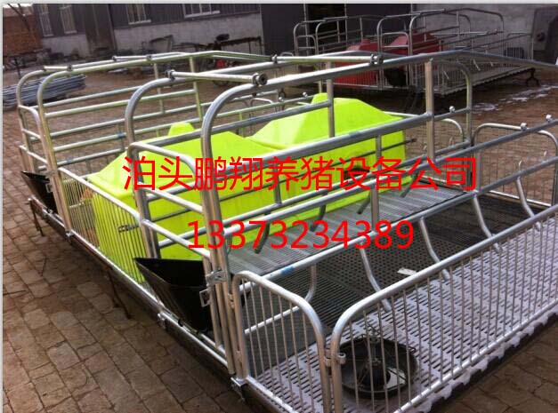 母豬分娩床圖片/母豬分娩床樣板圖 (2)