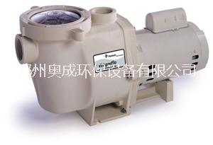 美國(guó)濱特爾循環(huán)水泵圖片