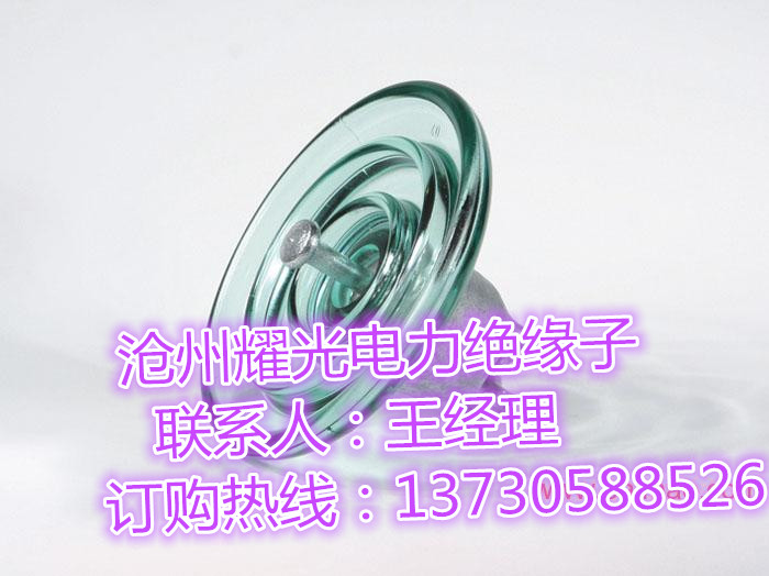 盤形懸式玻璃絕緣子圖片/盤形懸式玻璃絕緣子樣板圖 (1)