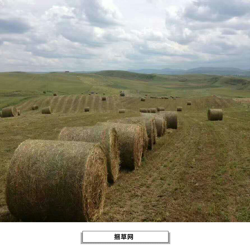 东光县鼎瑞机械打捆机用捆草网 青贮秸秆牧草打捆缠绕网厂家批发图片