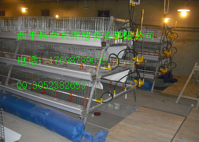 金興為你提供專業(yè)化的養(yǎng)雞設(shè)備圖片/金興為你提供專業(yè)化的養(yǎng)雞設(shè)備樣板圖 (2)