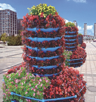 江西花盆圖片/江西花盆樣板圖 (3)