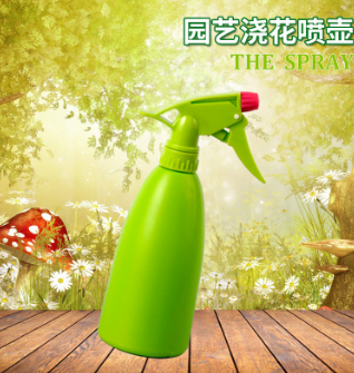 多肉噴壺圖片/多肉噴壺樣板圖 (3)