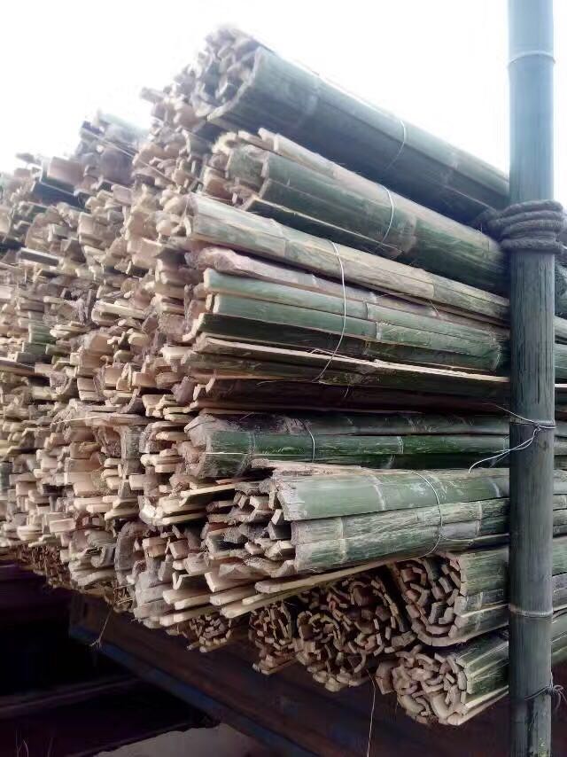 內(nèi)蒙古竹片圖片