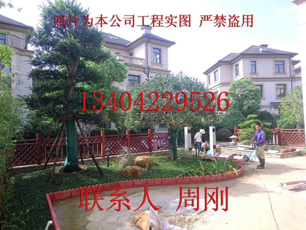 別墅庭院設計圖片/別墅庭院設計樣板圖 (1)