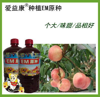 EM益生菌发酵鸡粪做饲料图片