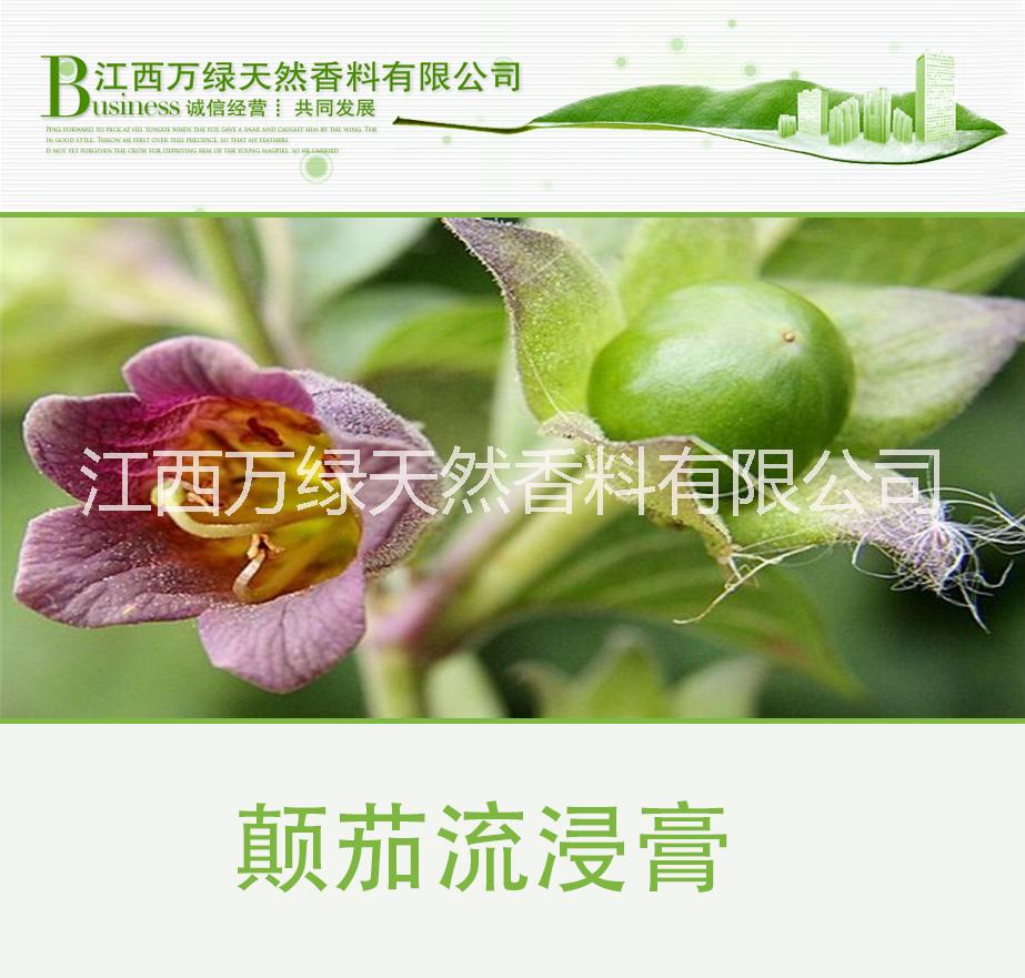 *原料顛茄流浸膏