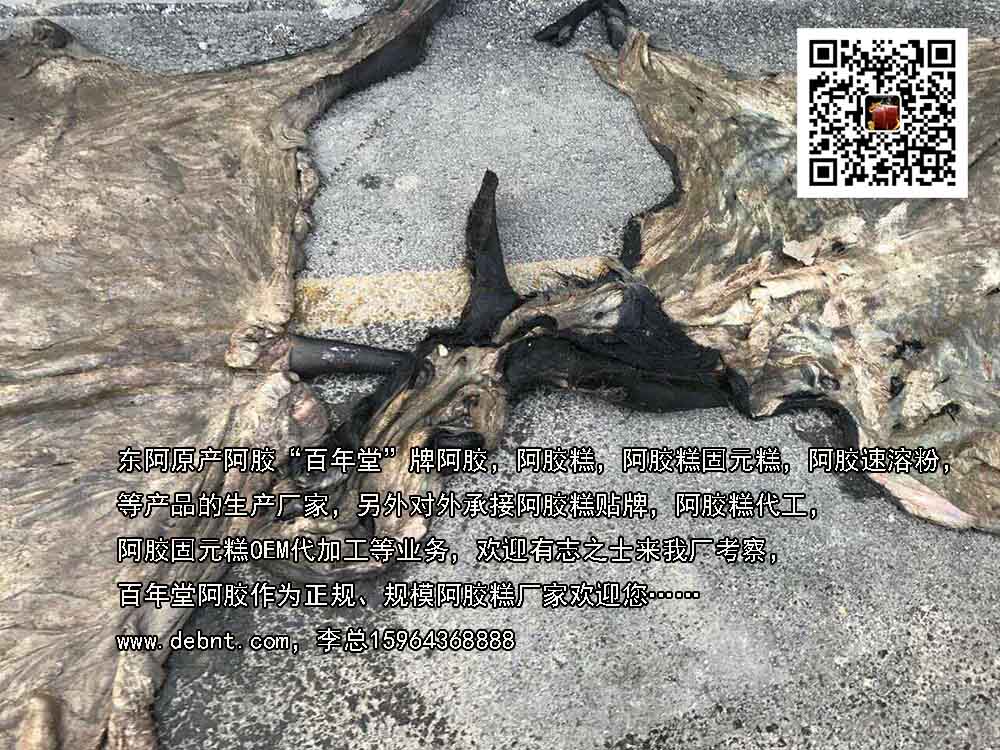 即食阿膠糕圖片/即食阿膠糕樣板圖 (2)