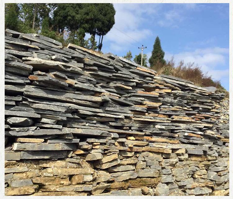 虎皮石圖片/虎皮石樣板圖 (2)