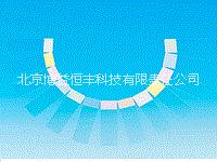 載玻片圖片/載玻片樣板圖 (2)