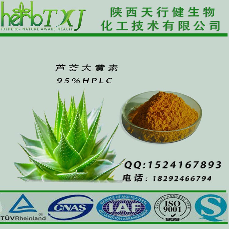 庫拉索蘆薈提取物 蘆薈大黃素95圖片