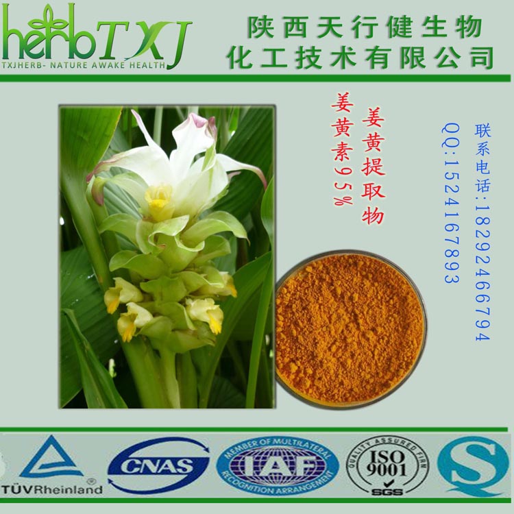 姜黃提取圖片/姜黃提取樣板圖 (1)