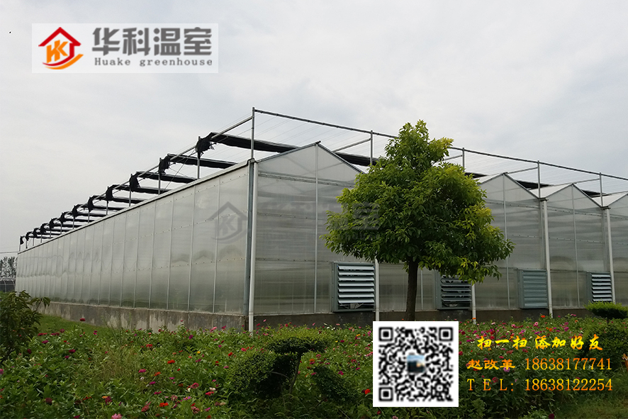 溫室大棚廠家價格圖片/溫室大棚廠家價格樣板圖 (3)