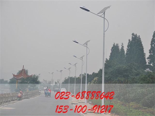 8米路燈桿圖片/8米路燈桿樣板圖 (2)