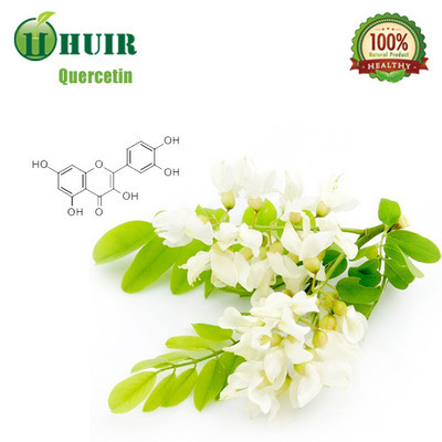 供应槲皮素提取物 Quercetin